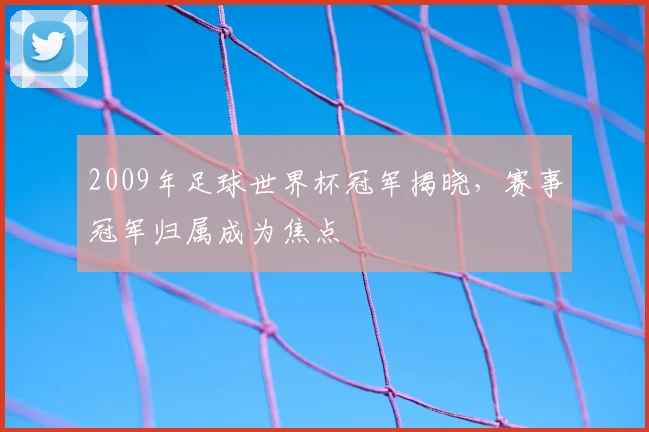 2009年足球世界杯冠军揭晓，赛事冠军归属成为焦点