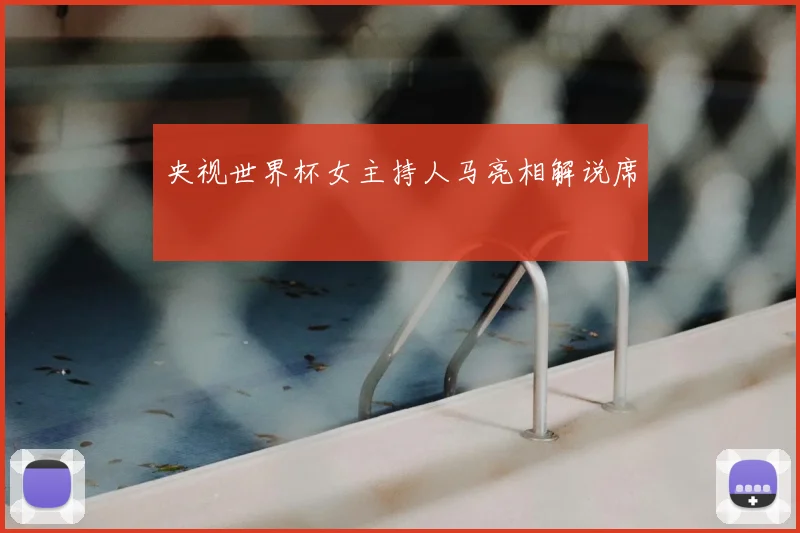 央视世界杯女主持人马亮相解说席