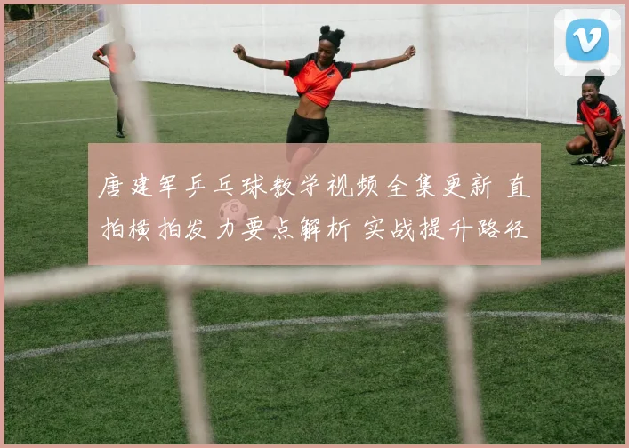 唐建军乒乓球教学视频全集更新 直拍横拍发力要点解析 实战提升路径更清晰